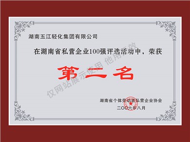 湖南省私營(yíng)企業(yè)100強(qiáng)第二名（2006年）