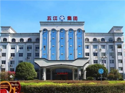 輕化子集團貫徹落實集團“四化”建設(shè)專題會議精神